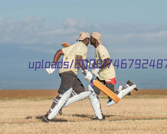 成都金鳳貯存型液氮生物容器(小)YDS-2-35